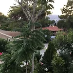 Eirini